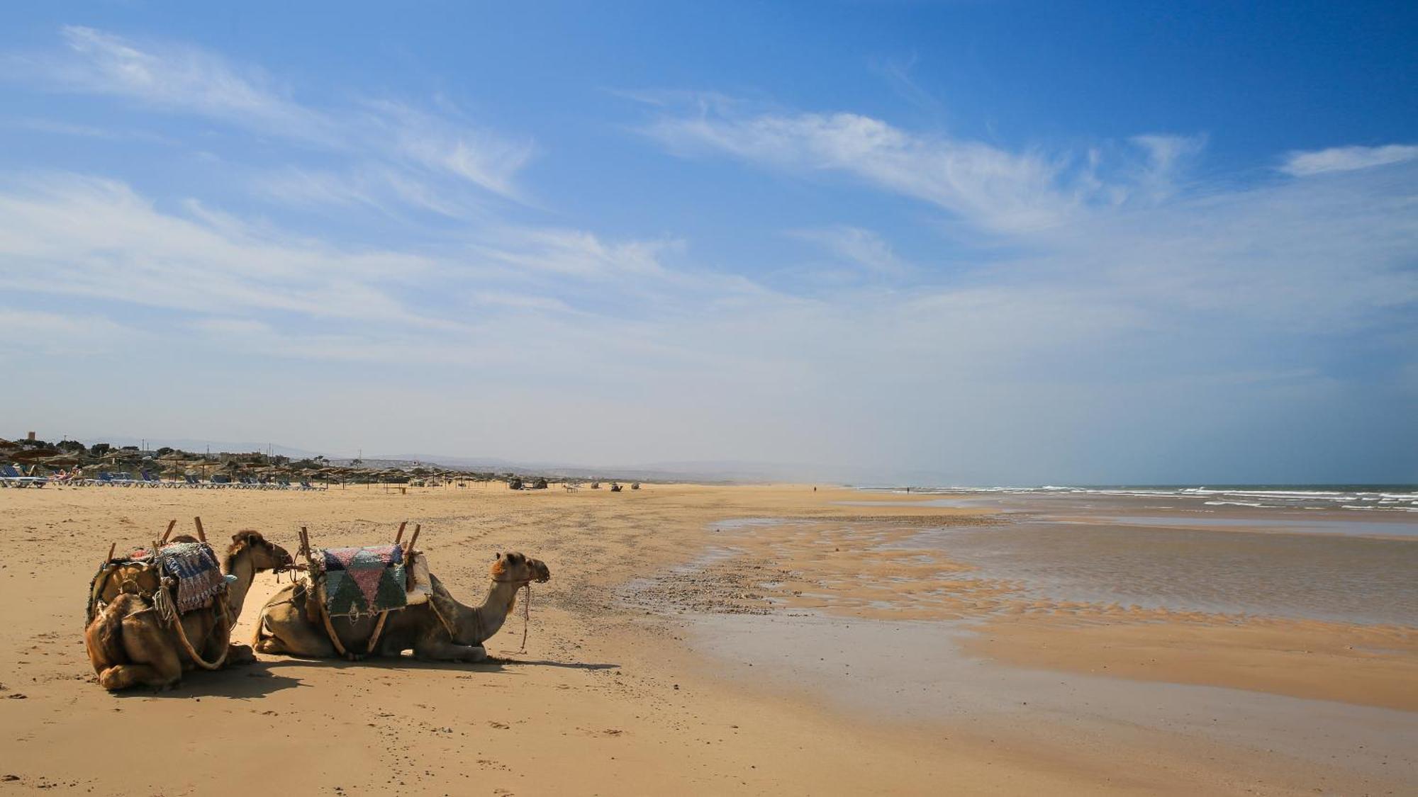 Suite Beldi, La Maison Des Paons Sidi Kaouki Exteriör bild